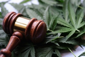 Where Is CBD Legal? A Global Overview of Worldwide Laws