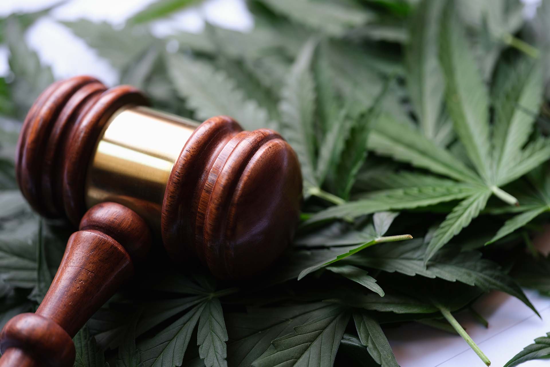 Where Is CBD Legal? A Global Overview of Worldwide Laws
