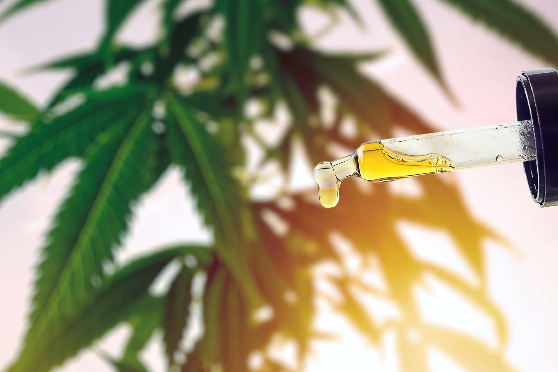 Cannabinoids