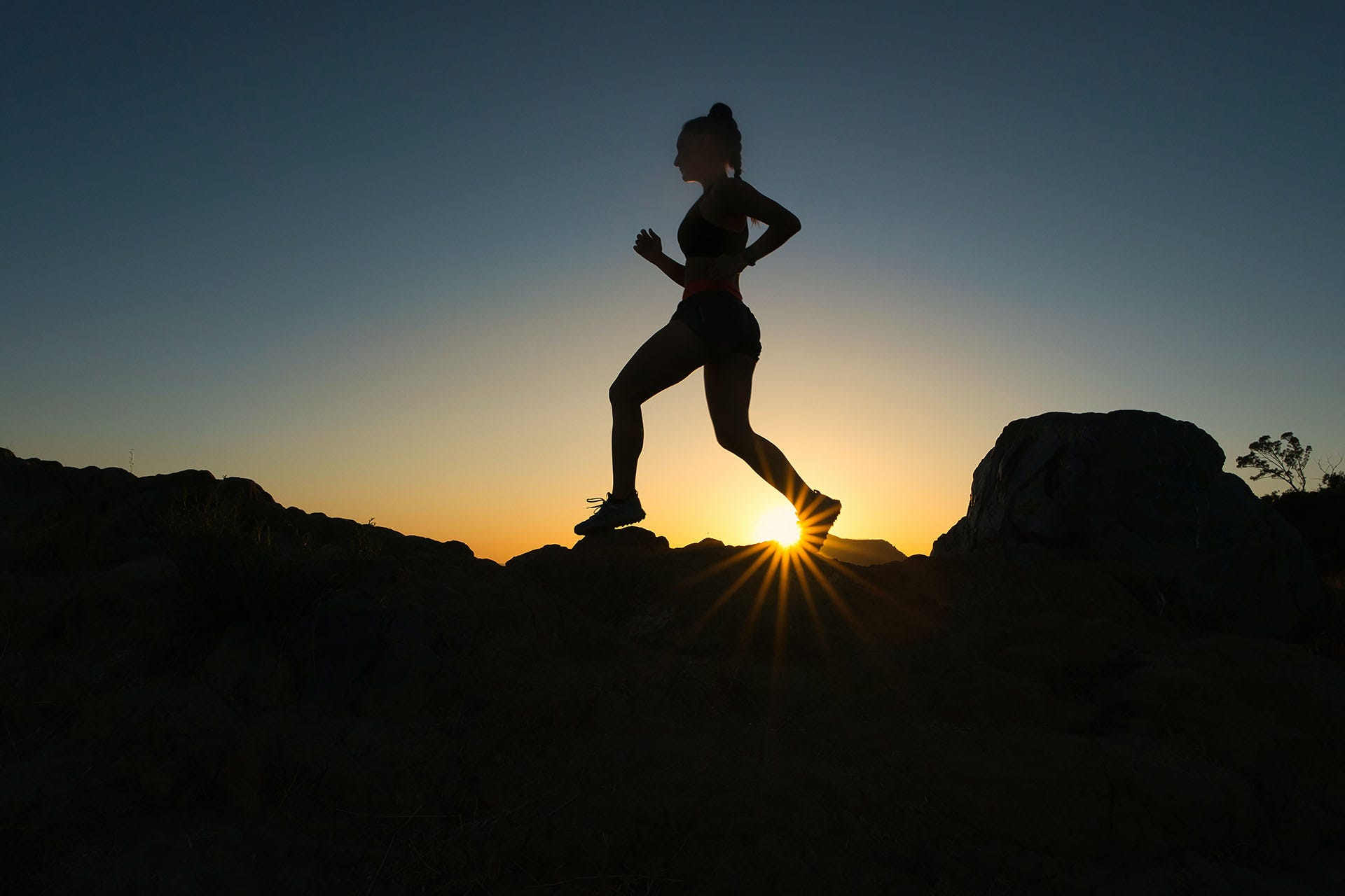 Cbd And Fitness