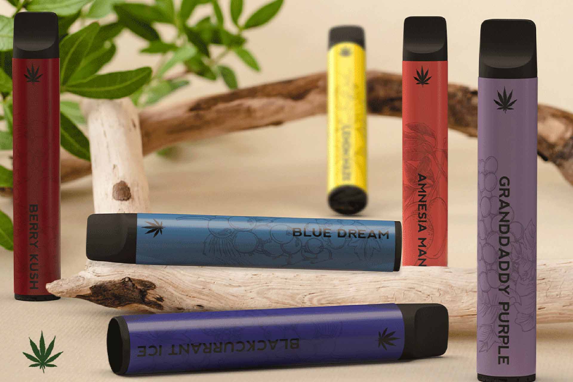 Cbd Go 1500 Blog 1