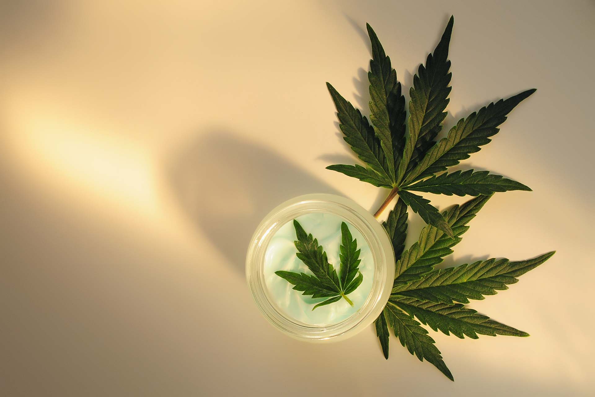 Cbd Placebo