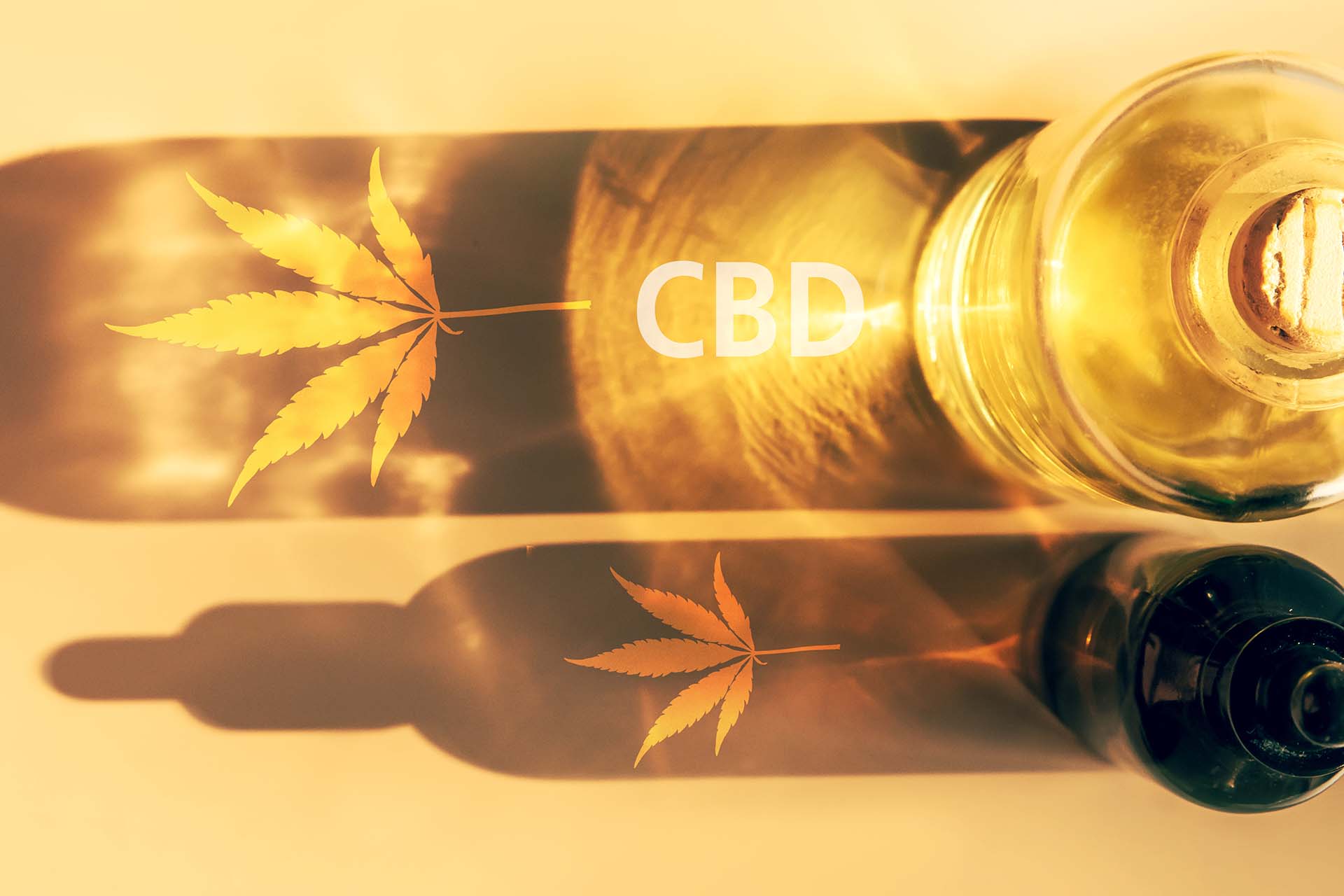 Cbd Top 6 Questions 2