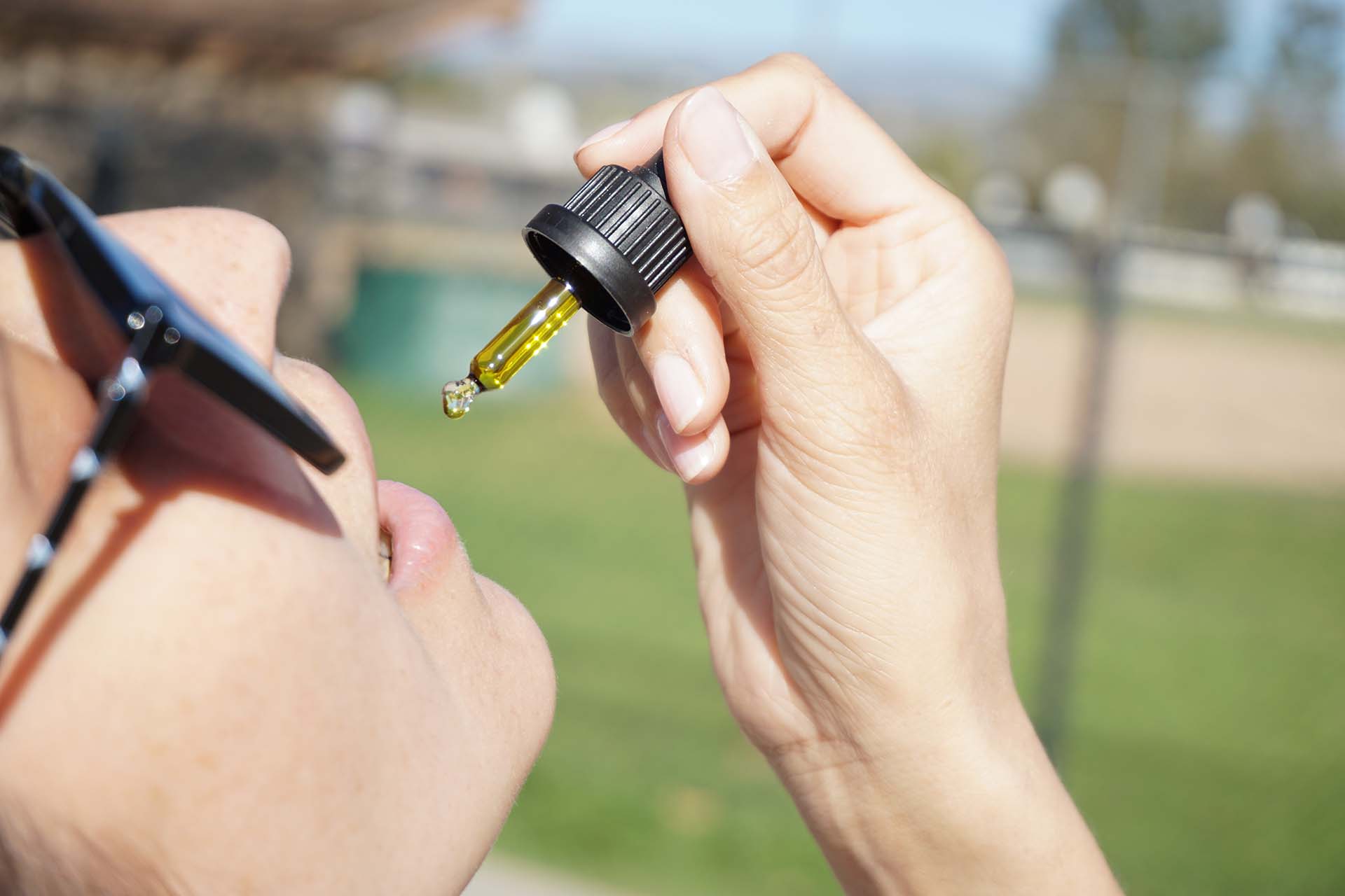 Cbd Wellness