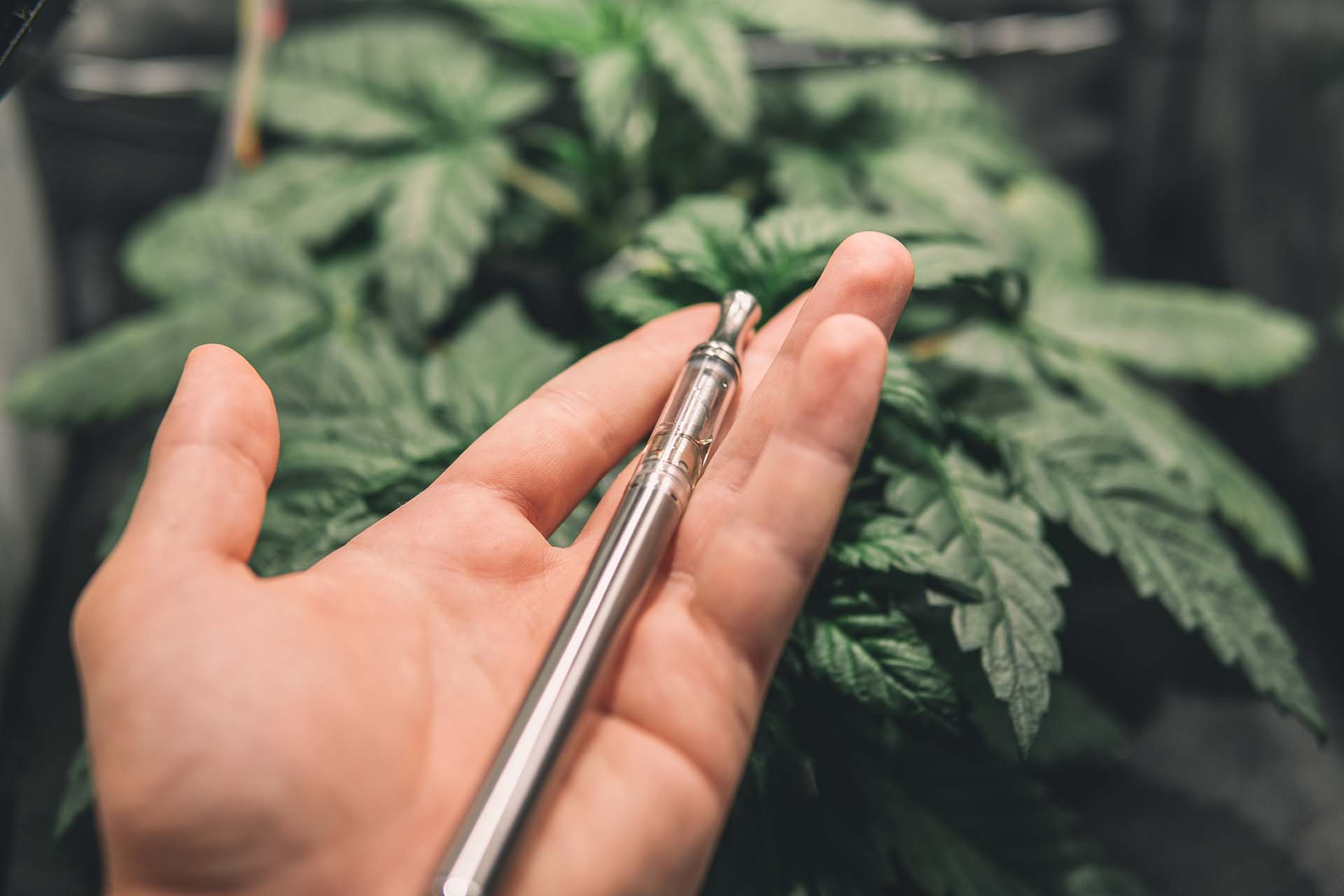 Inside Cbd Vape 1