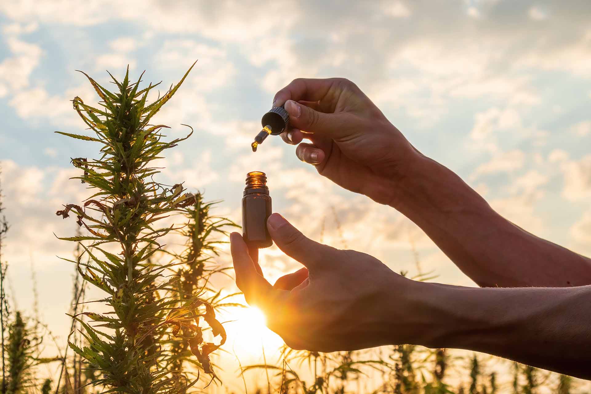 New To CBD