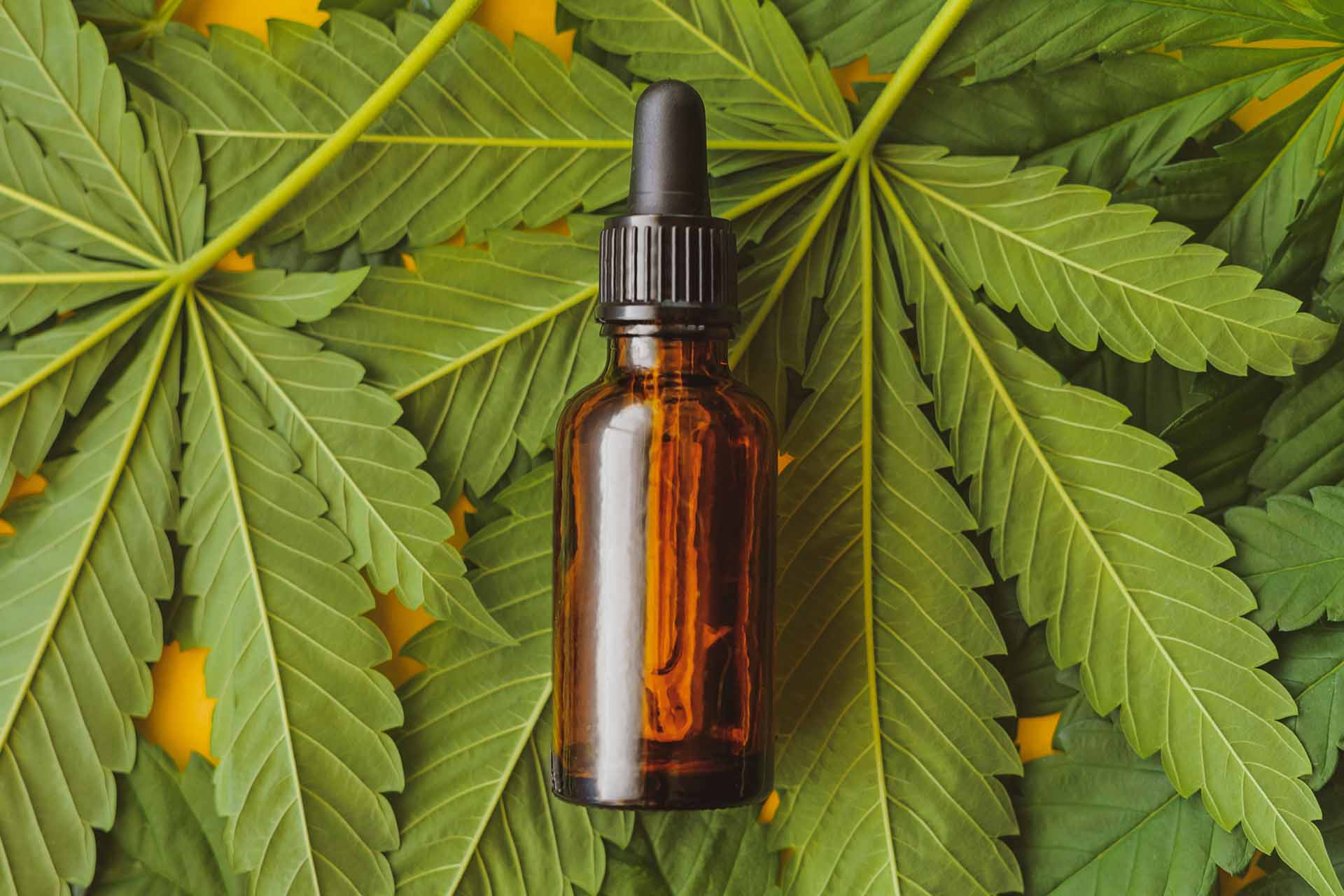 Top Cbd Questions