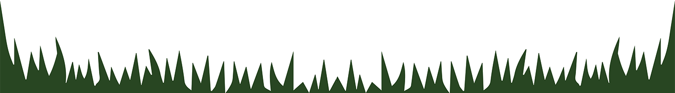 bg_1_1