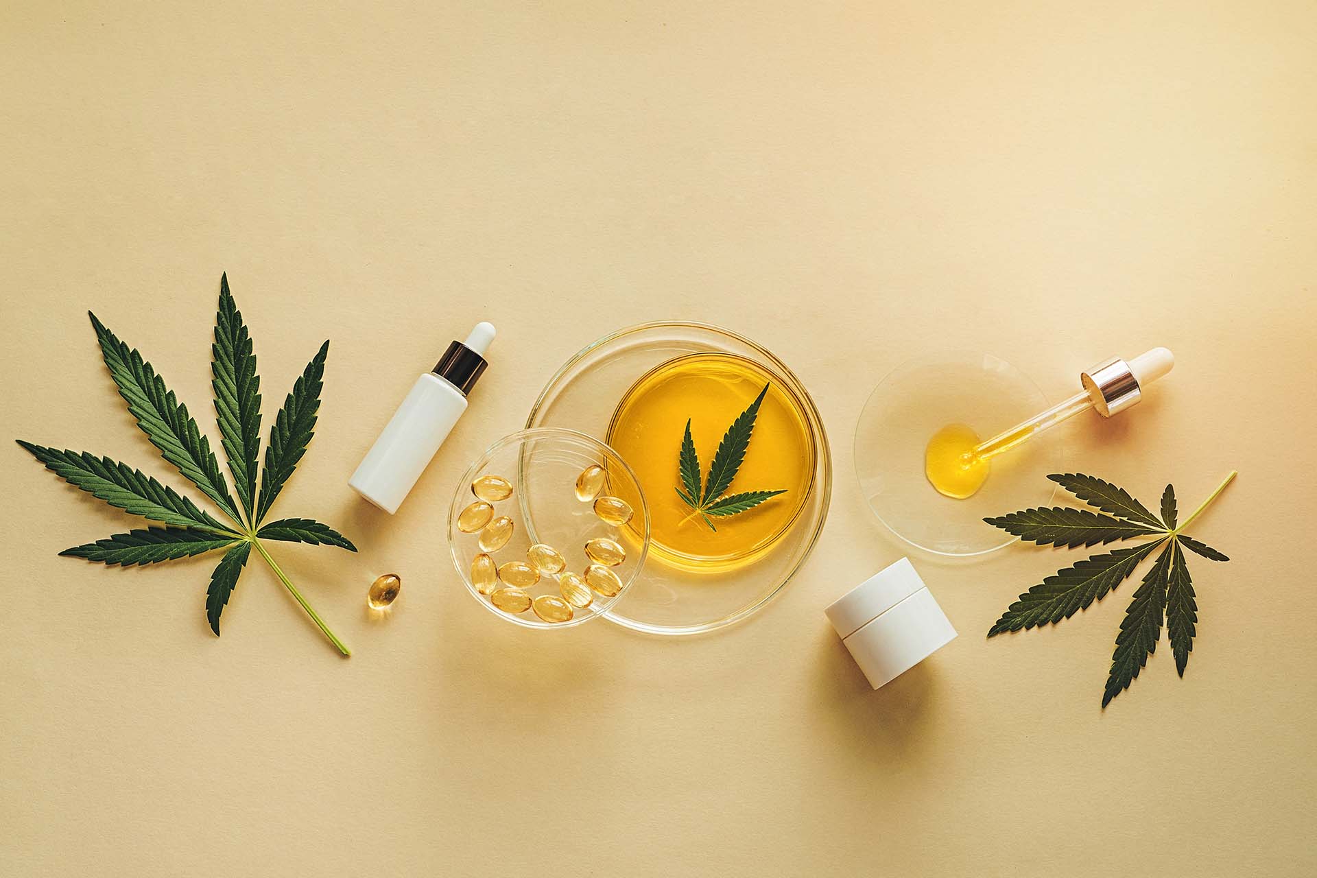 Cbd Benefits 1 1