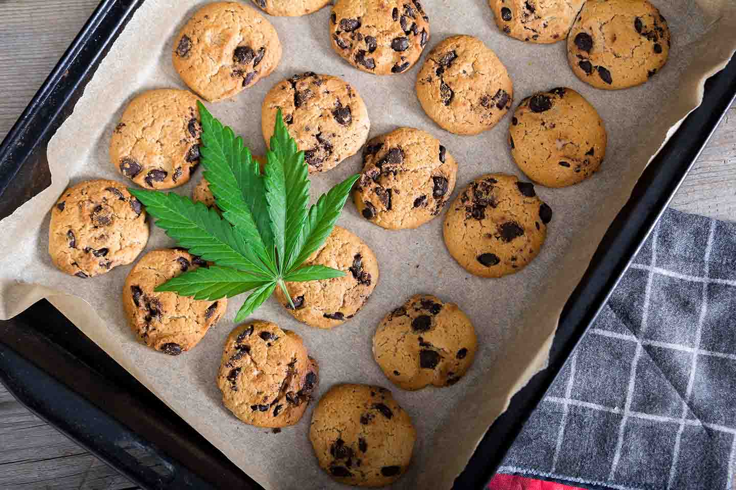 Cbd Cookies 1