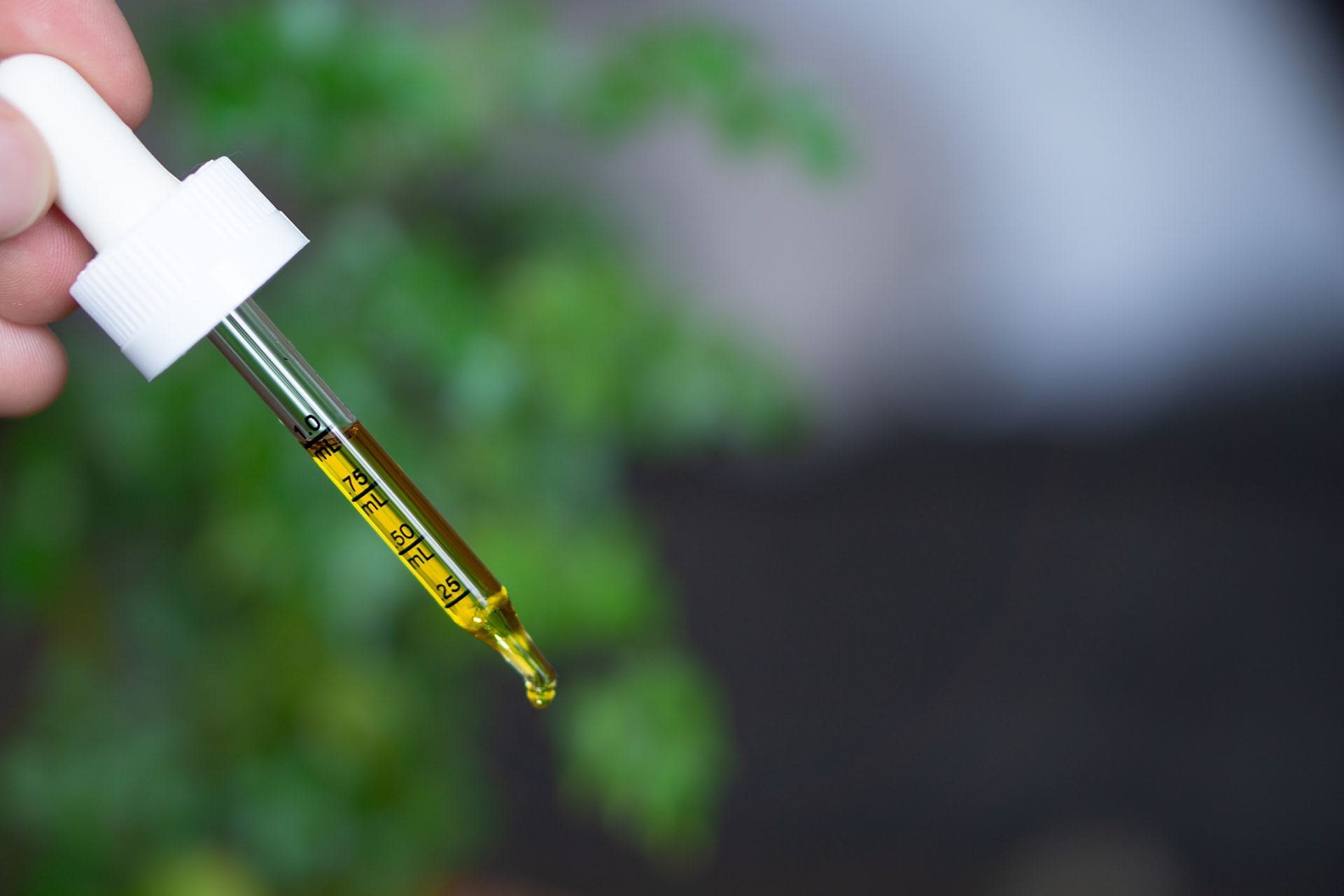 Cbd Dosage2