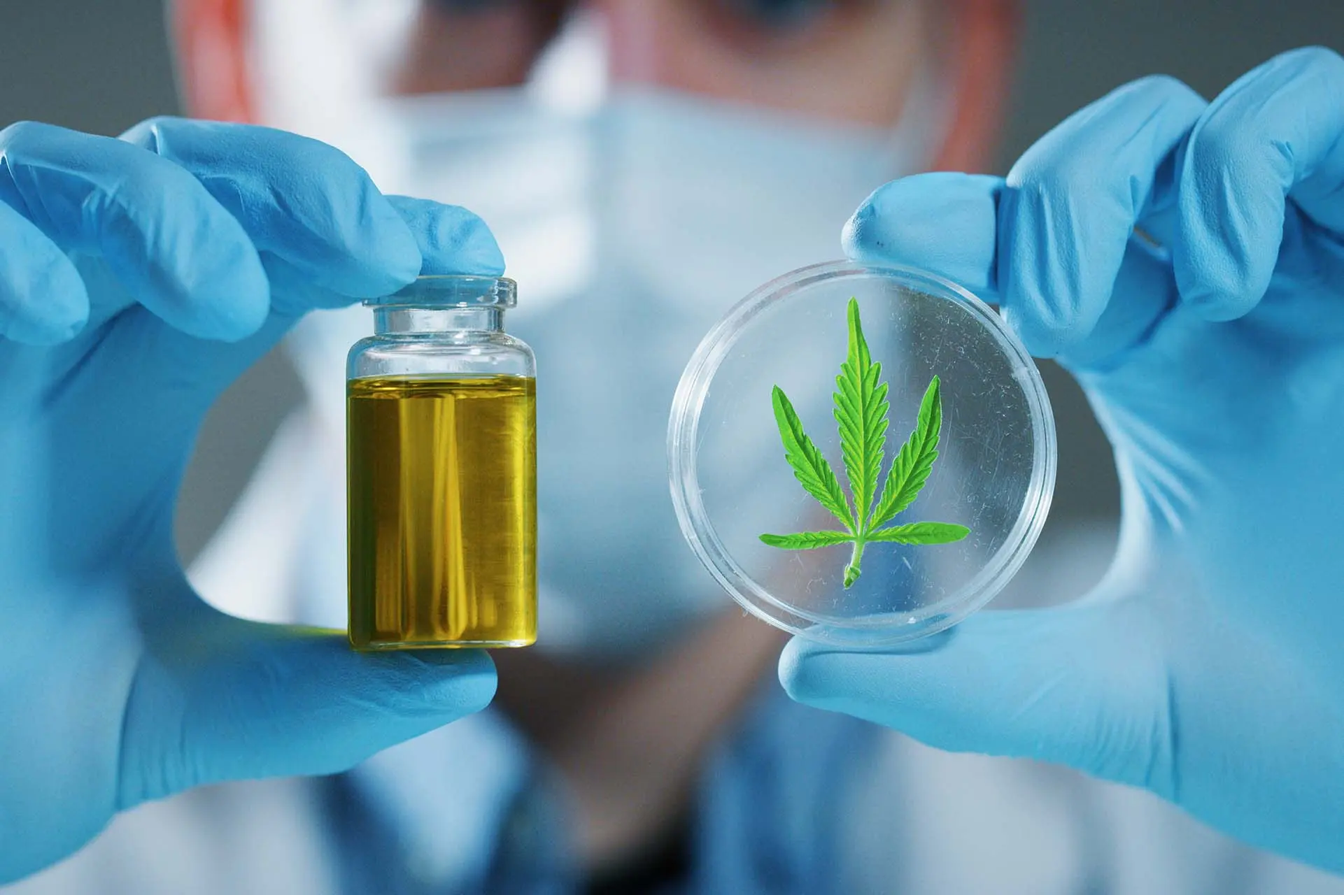 Cbd Drug Test 1