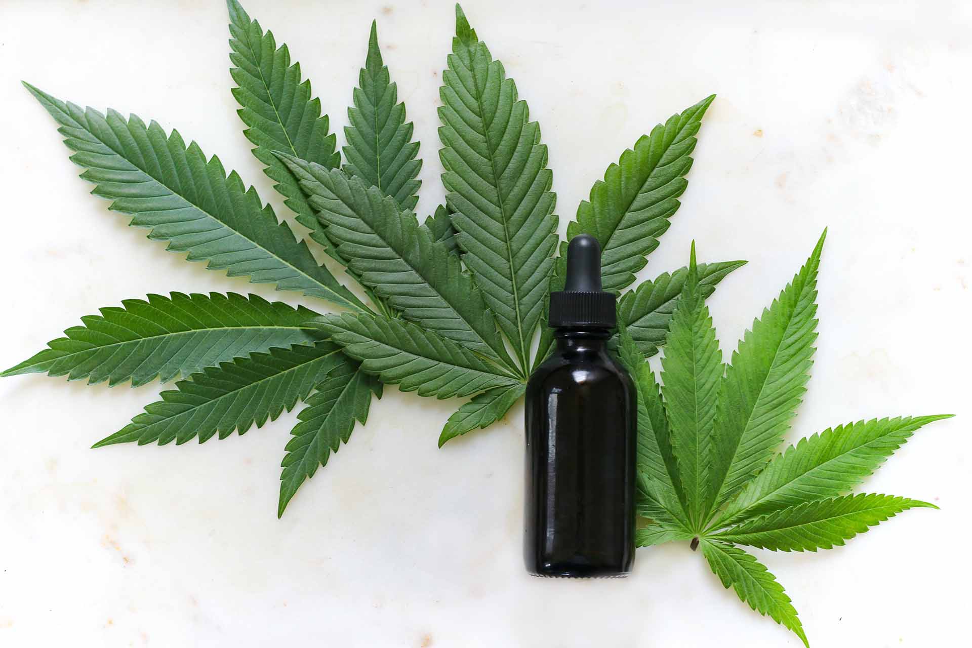 Cbd Facts