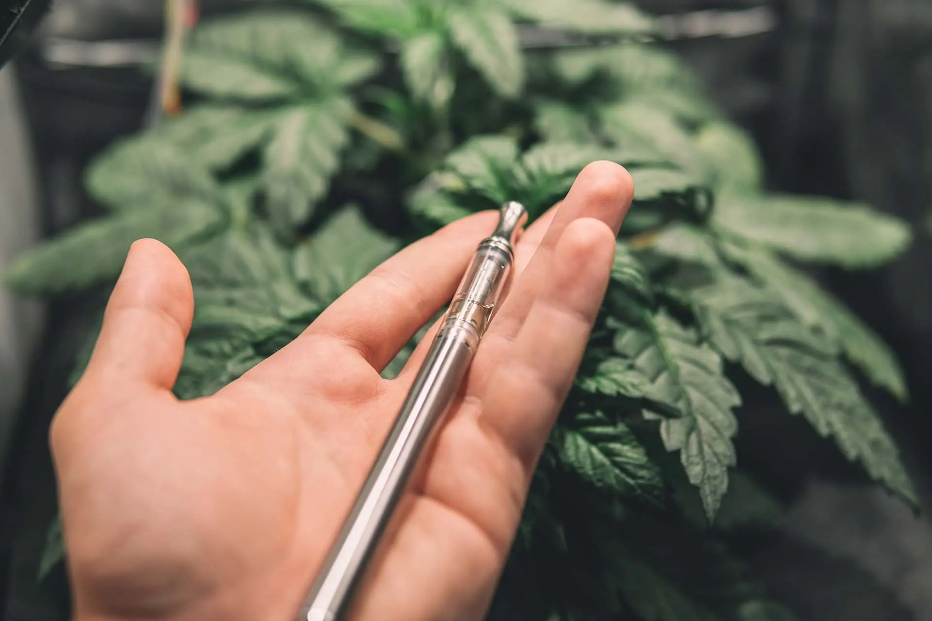 Inside Cbd Vape